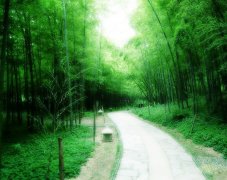 楠竹的分布，以及開發