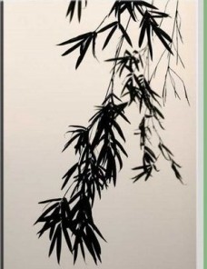 竹文化——關于竹的詩詞欣賞
