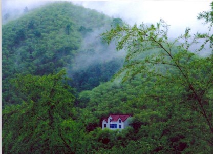 釋迦牟尼也住竹園