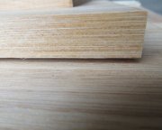 竹材工藝取得突破 推進竹材工業利用
